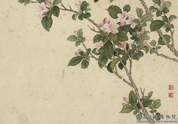 清蔣廷錫寫生　冊　山躑躅